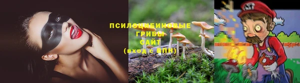 ПСИЛОЦИБИНОВЫЕ ГРИБЫ Лабытнанги