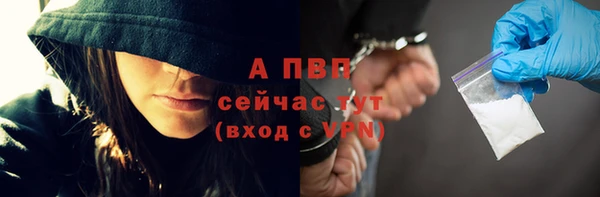 ПСИЛОЦИБИНОВЫЕ ГРИБЫ Лабытнанги