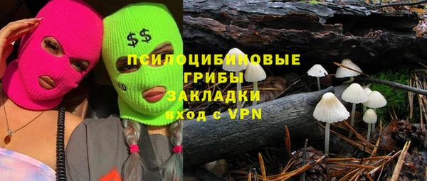 ПСИЛОЦИБИНОВЫЕ ГРИБЫ Лабытнанги