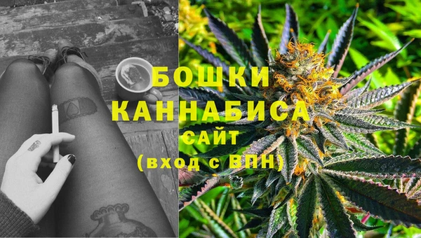 ПСИЛОЦИБИНОВЫЕ ГРИБЫ Лабытнанги