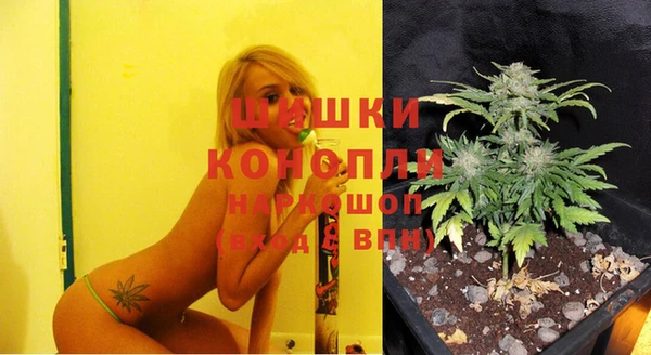 стаф Лагань