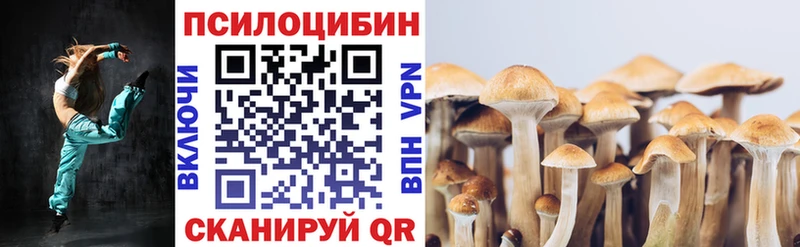 Галлюциногенные грибы Psilocybine cubensis  гидра как зайти  Староминская  наркотики 